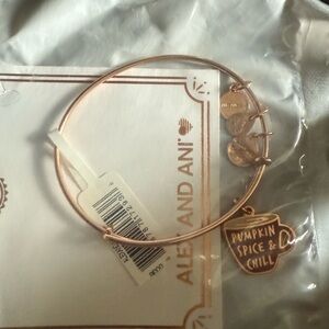 Alex and Ani Pumpkin Spice & Chill Rose Gold Bangle New in Box Bracelet